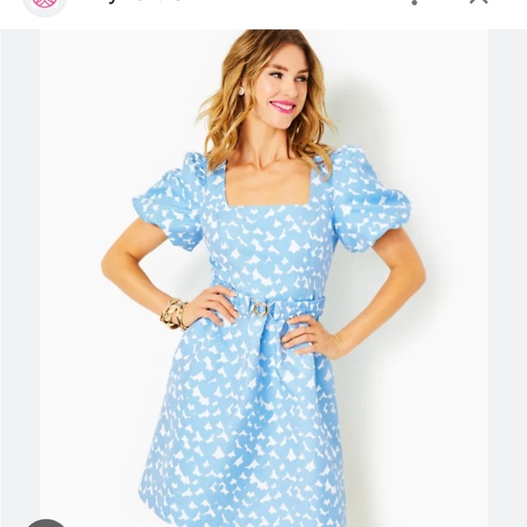 Lilly Pulitzer Dresses & Skirts - Lilly Pulitzer dress